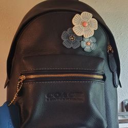 Coach Backpack From Hawaii