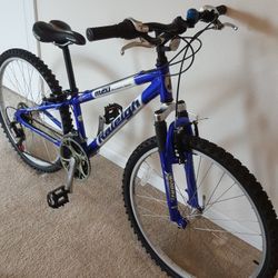 Raleigh Aluminum Mountain Sport Bike for Sale in Charlotte NC OfferUp
