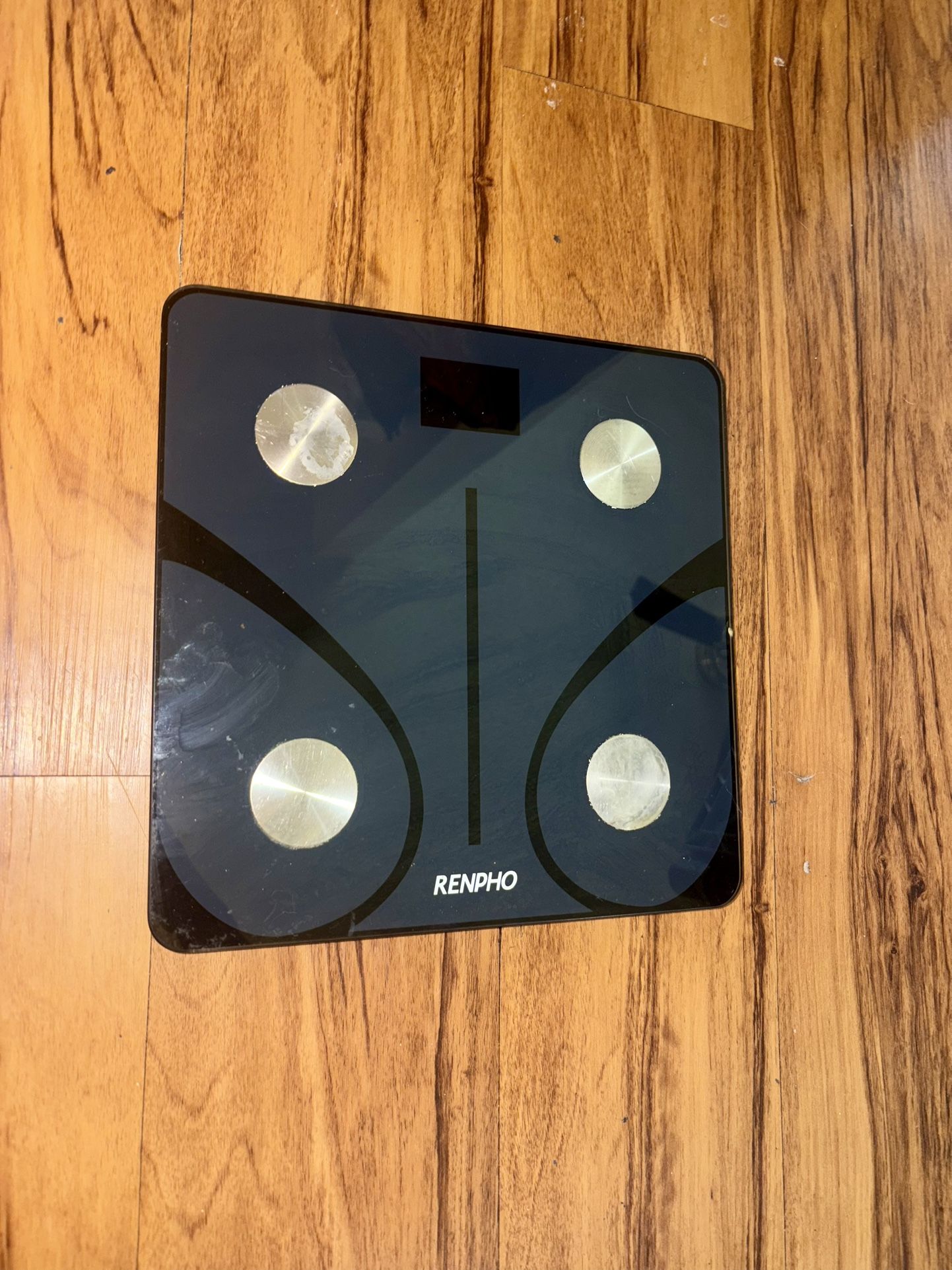 Renpho Smart Weight Scale