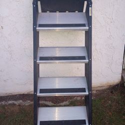 Step Above Drop Down Steps 