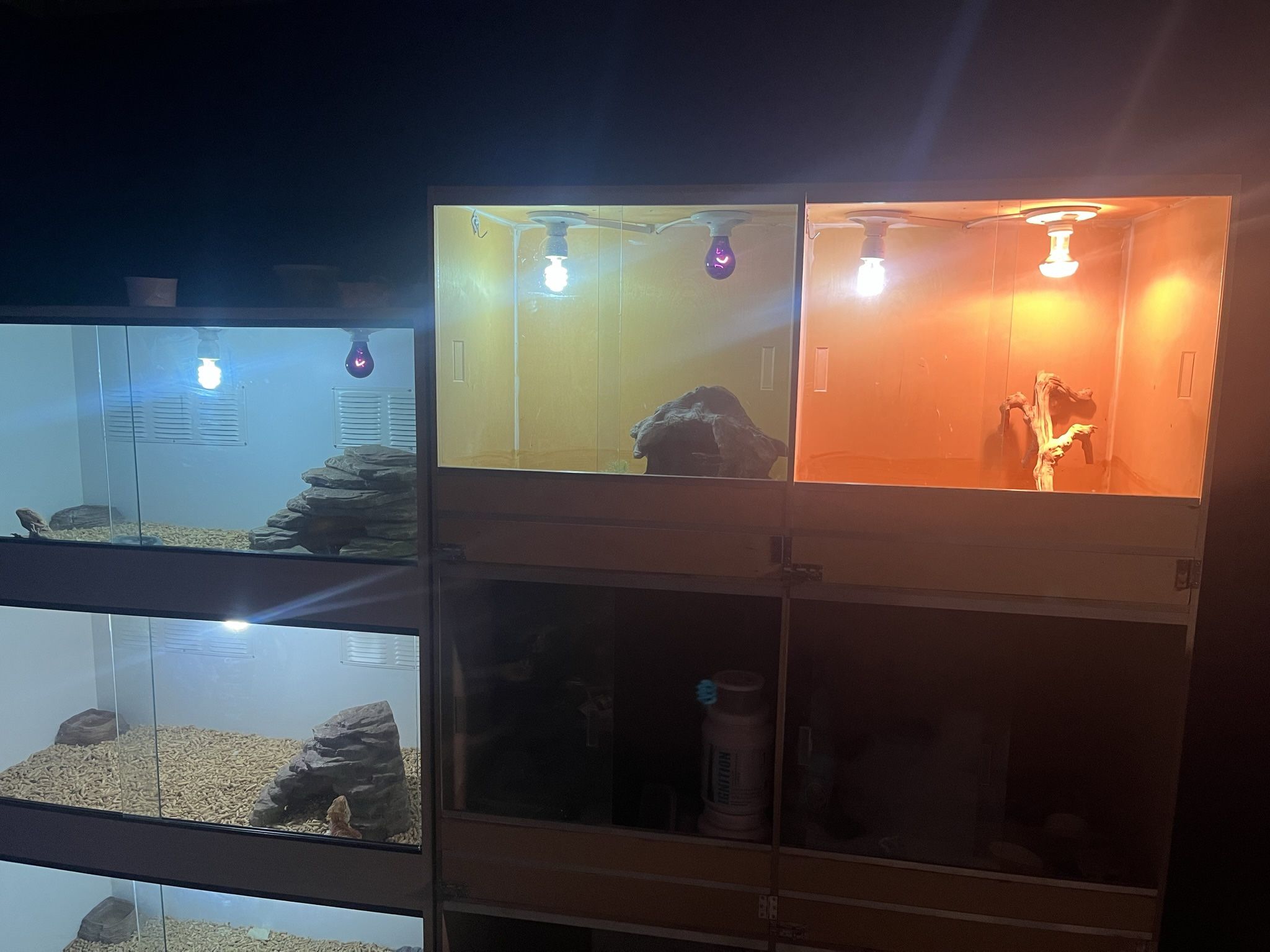 Reptile Enclosure