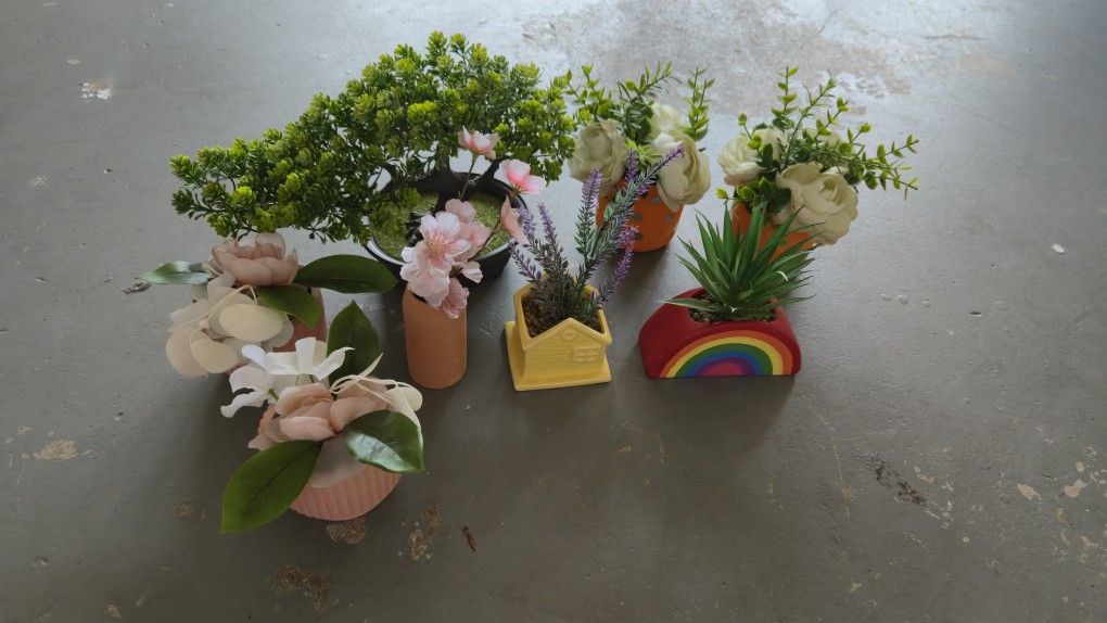 Vases With Faje Plants