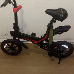 Electric Bike 