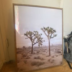 Art Joshua Tree Airbnb Decor 