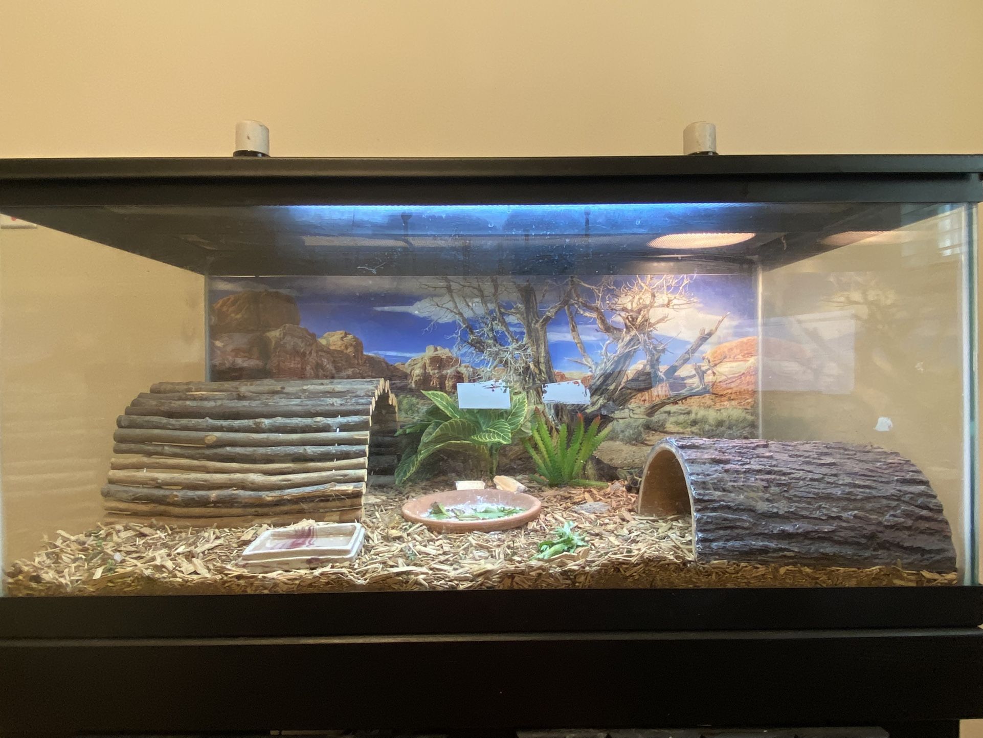 Aquarium tank 40 Gallons With Cover And Wood Stand