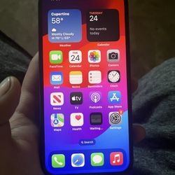iPhone 14
