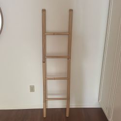 Storage Ladder