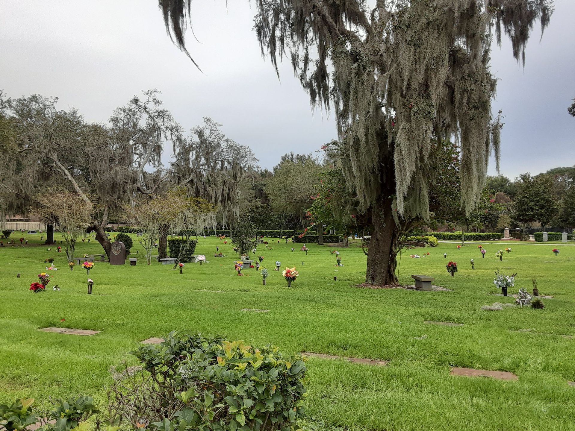 Cemetery Plot Woodlawn Cemetery. Goths. Fl for Sale in Ocoee, FL OfferUp