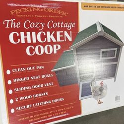 Chicken COOP