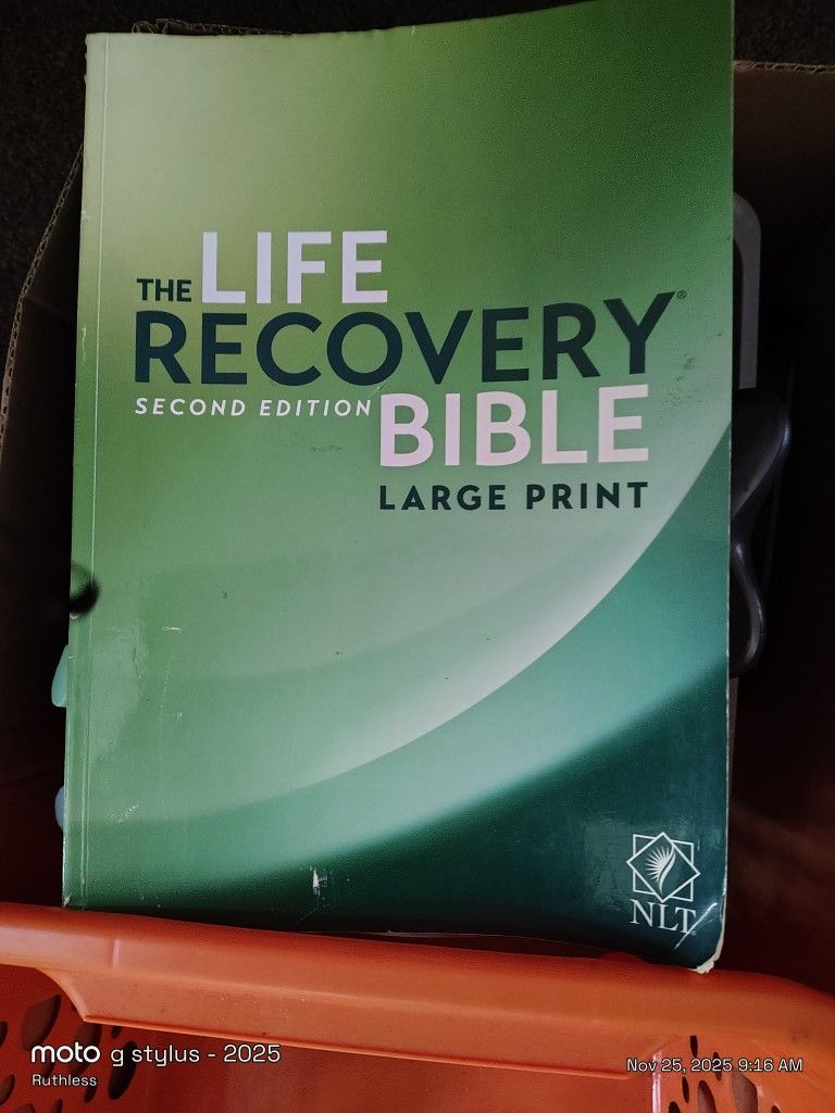 Life Recovery Bible Large Print