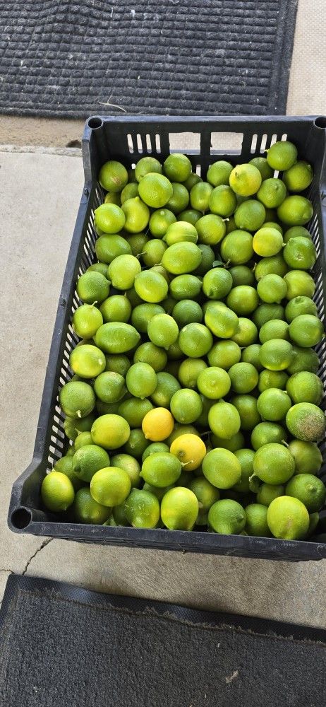 Caja De Limon 