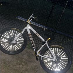 Beastmode SE Bike 