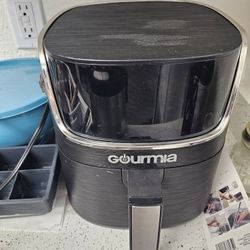 Gout Is Digital Window Air Fryer