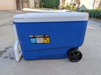 Igloo Cooler