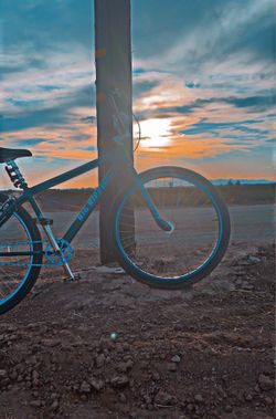 SE bike 29 inch