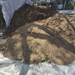 Free garden soil