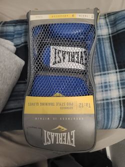 Everlast boxing gloves