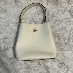 Coach small town bucket bag 
