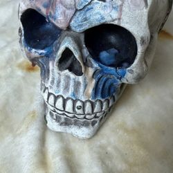 Decorative Skull – Hand Painted Art Piece
