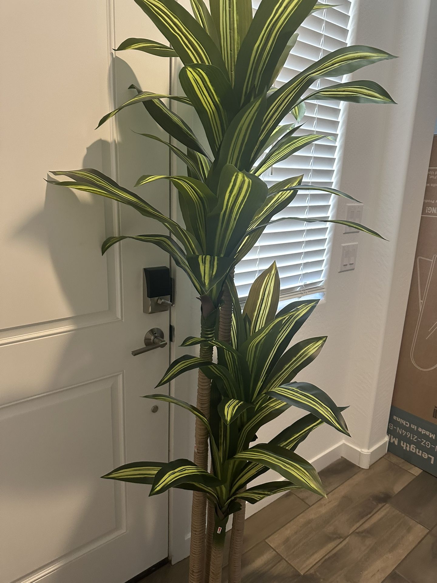 Beautiful 6ft Fake Dracaena Tree in Black Plastic Pot