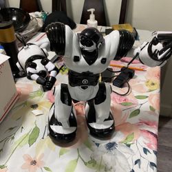 Robot With Remote
