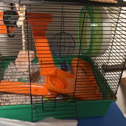 Hamster Cage & Accessories 
