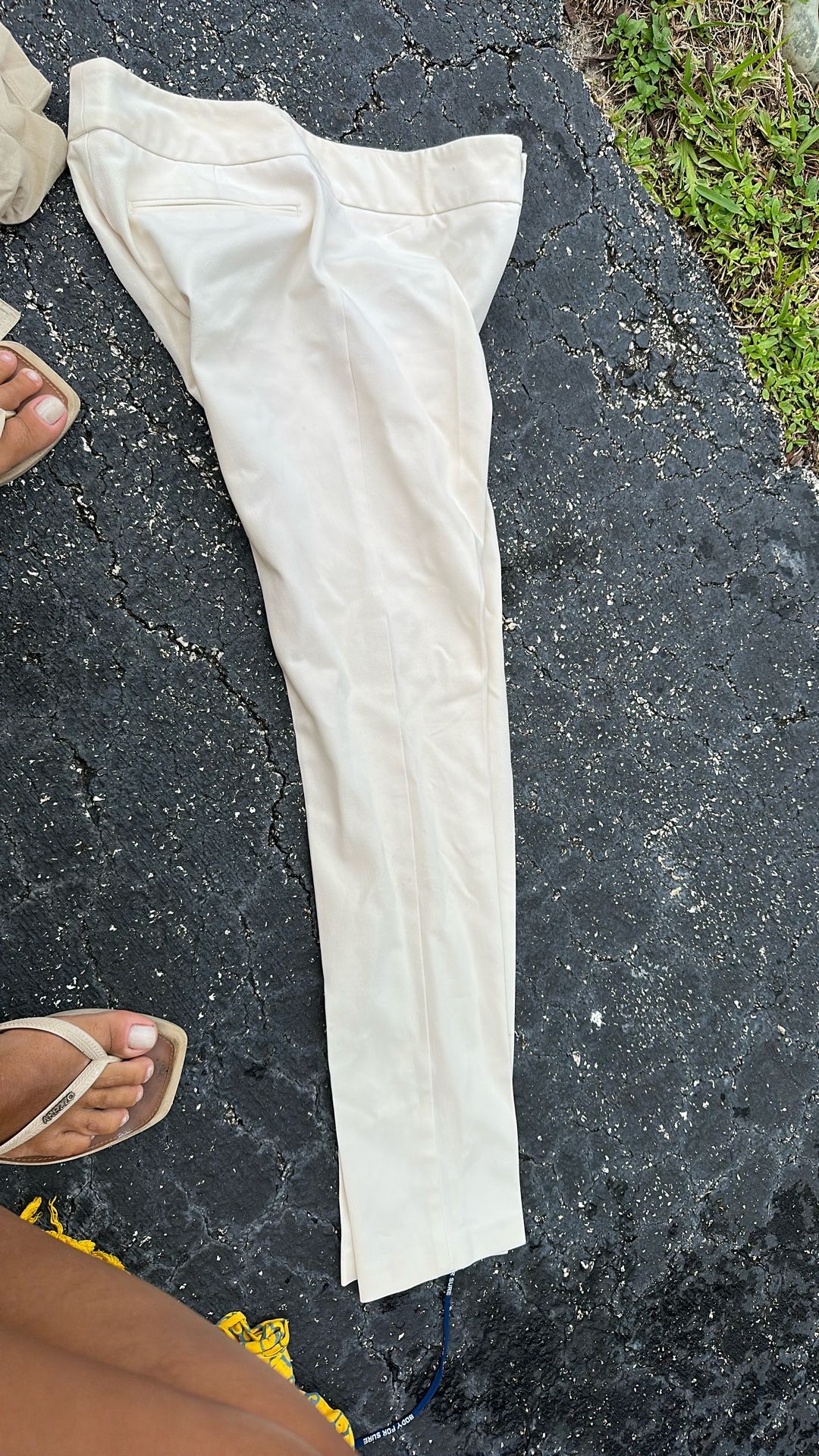 Pants