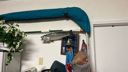New Bimini Top For An 18 Boat Possibly May Fit Others