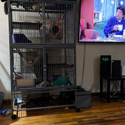 Double Ferret Nation Cage