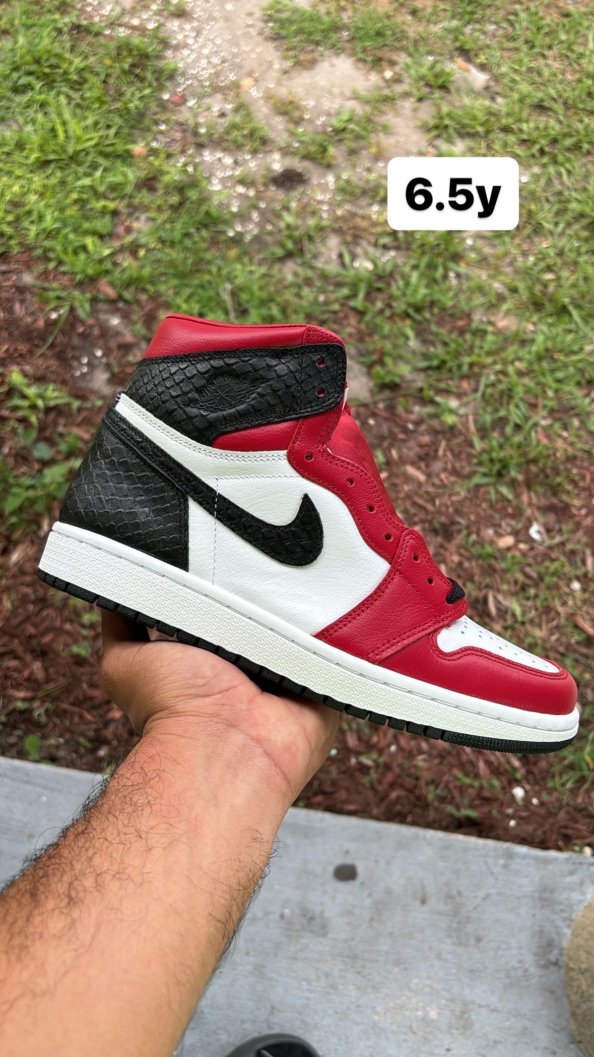 Jordan 1 Satin Skin