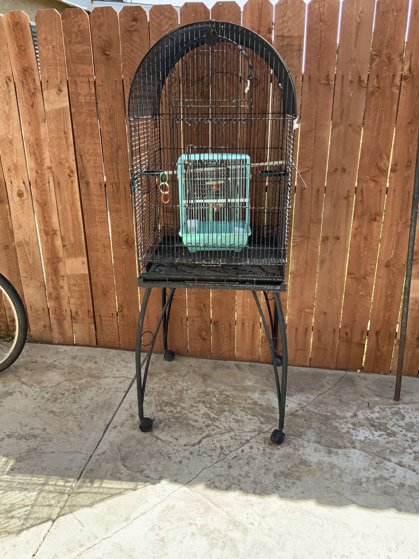 Big Bird Cage