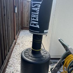 Punching Bag Like New Everlast Brand Never Used 