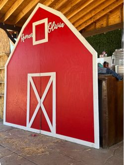 Barn Door for Party