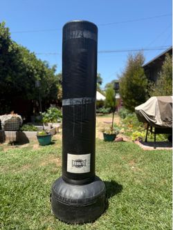 Pro Last punching bag