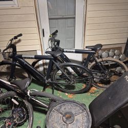 Electric Bird Bike x2