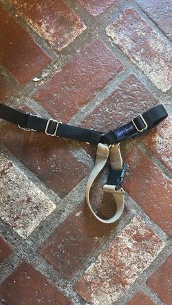 Easy walk dog harness
