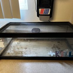 Reptile Tank