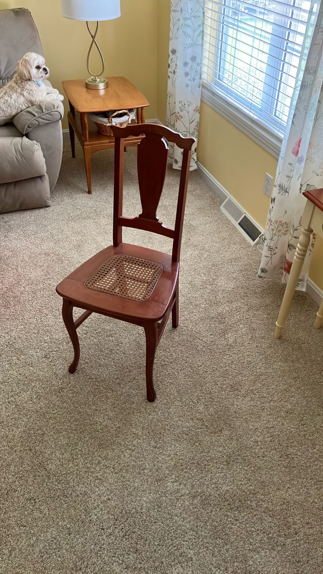 Antique Cane Seat Chair