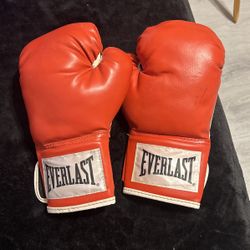 Everlast Boxing Gloves