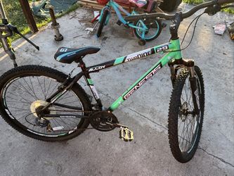 Genesis Bike