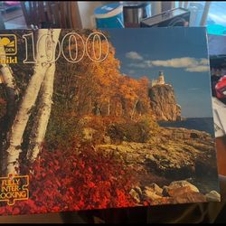 1000 Piece Puzzle 