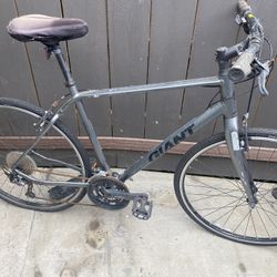 Giant Bike