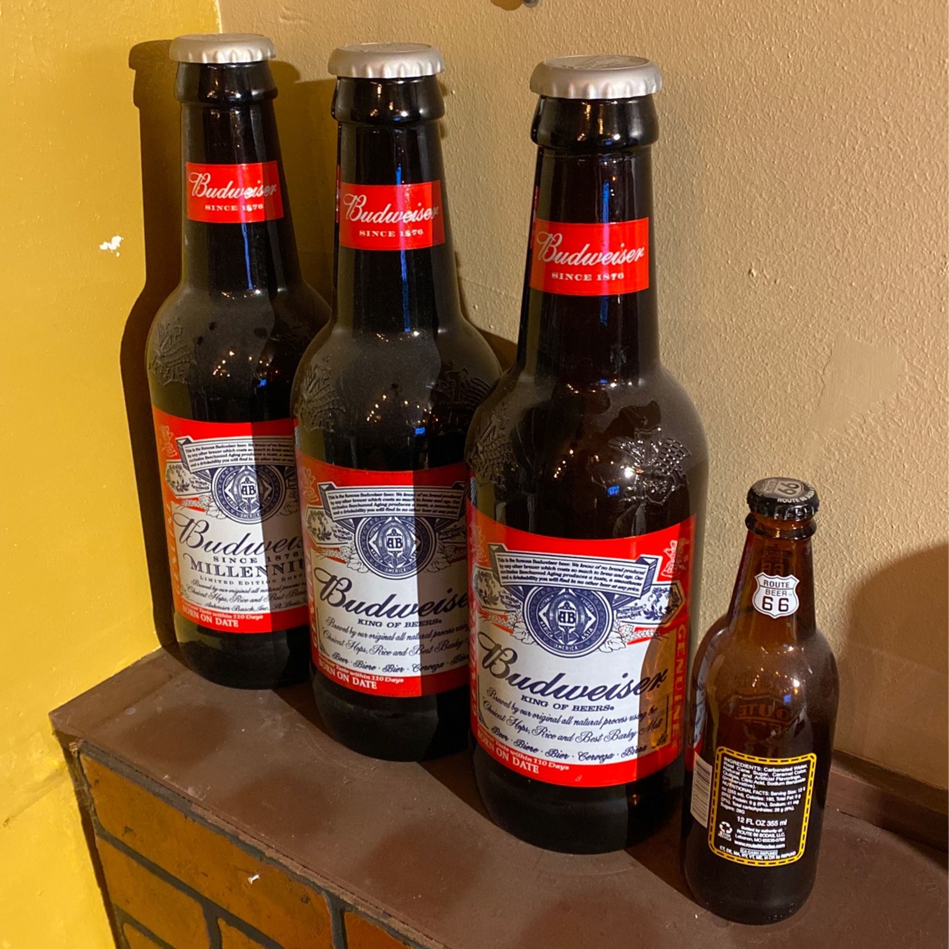 Jumbo Budweiser glass bottles