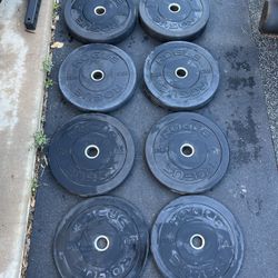 Rogue Echo Bumper Plate Set 230lbs