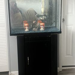 Aquarium 20” High