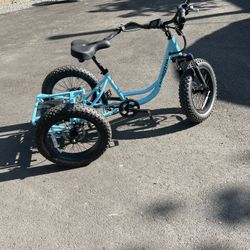 Electric addmotor trike