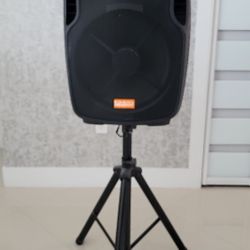 Professional Speaker 