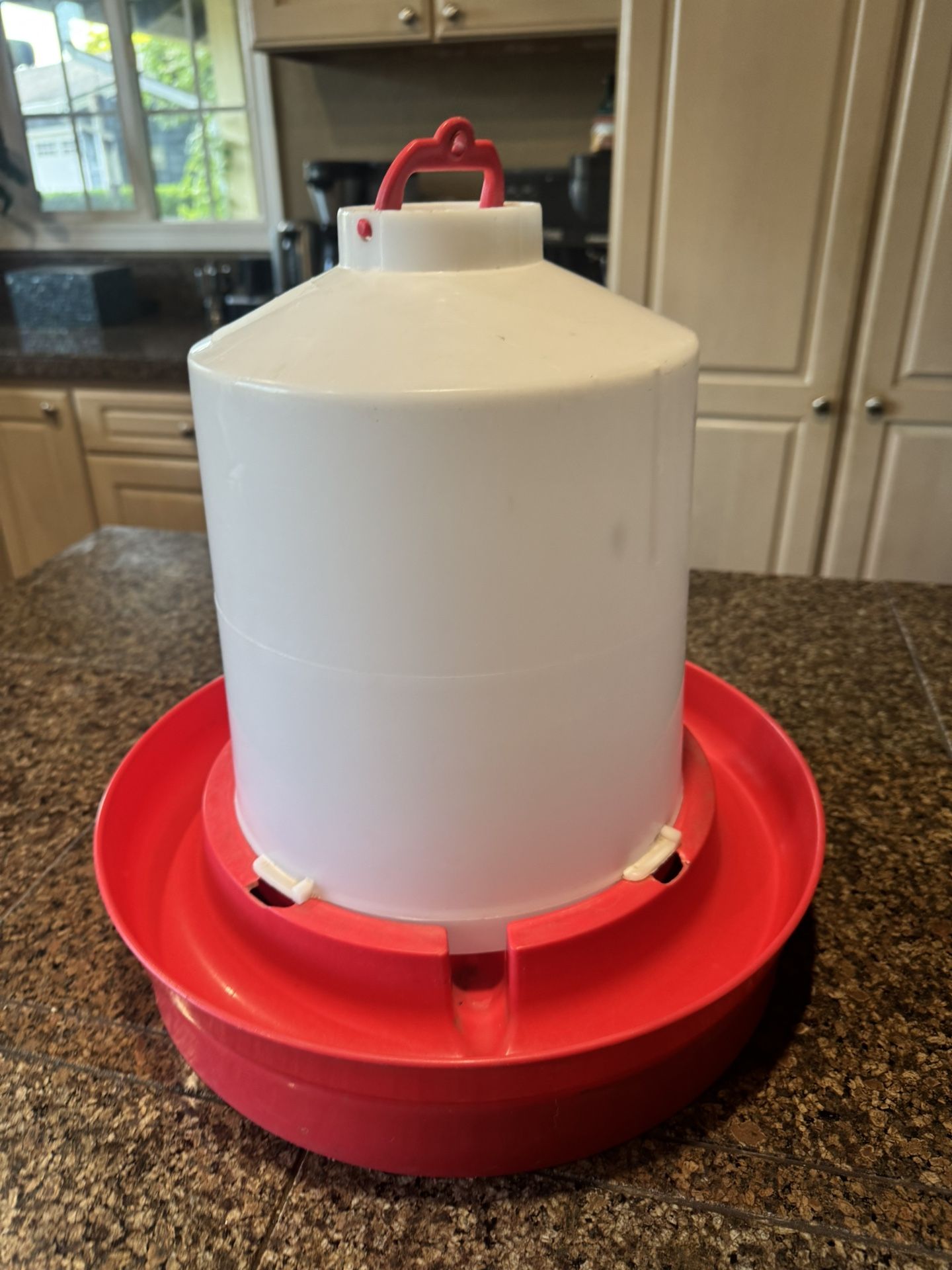 2 Gallon Little Giant Water Container For Chickens Or Ducks