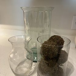 vases