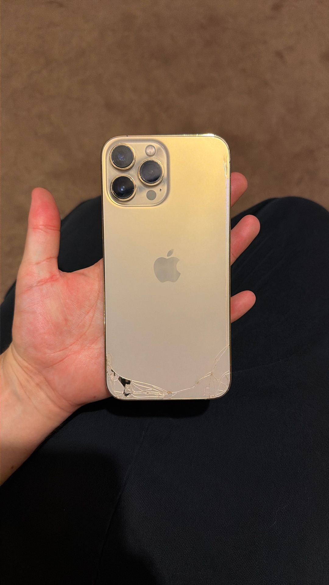 iPhone 13 Pro Max 